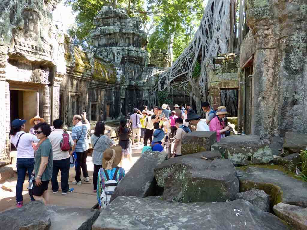 iTai Prohm Alles zum aTomb Raider Tempela in Angkor